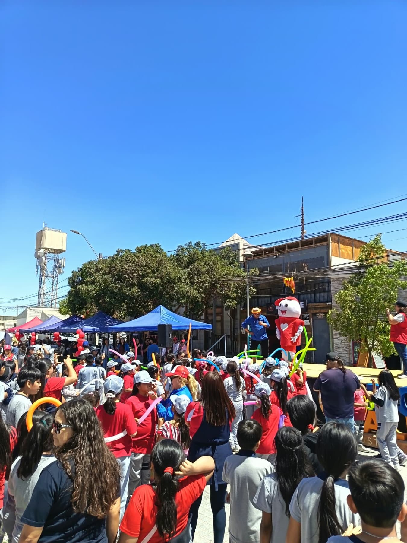 Programa Recreativo